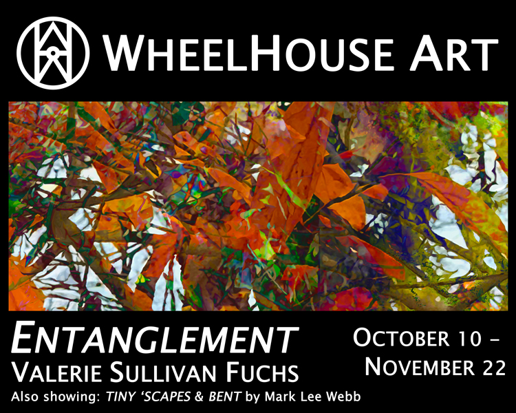 Valerie Sullivan Fuchs Art collection