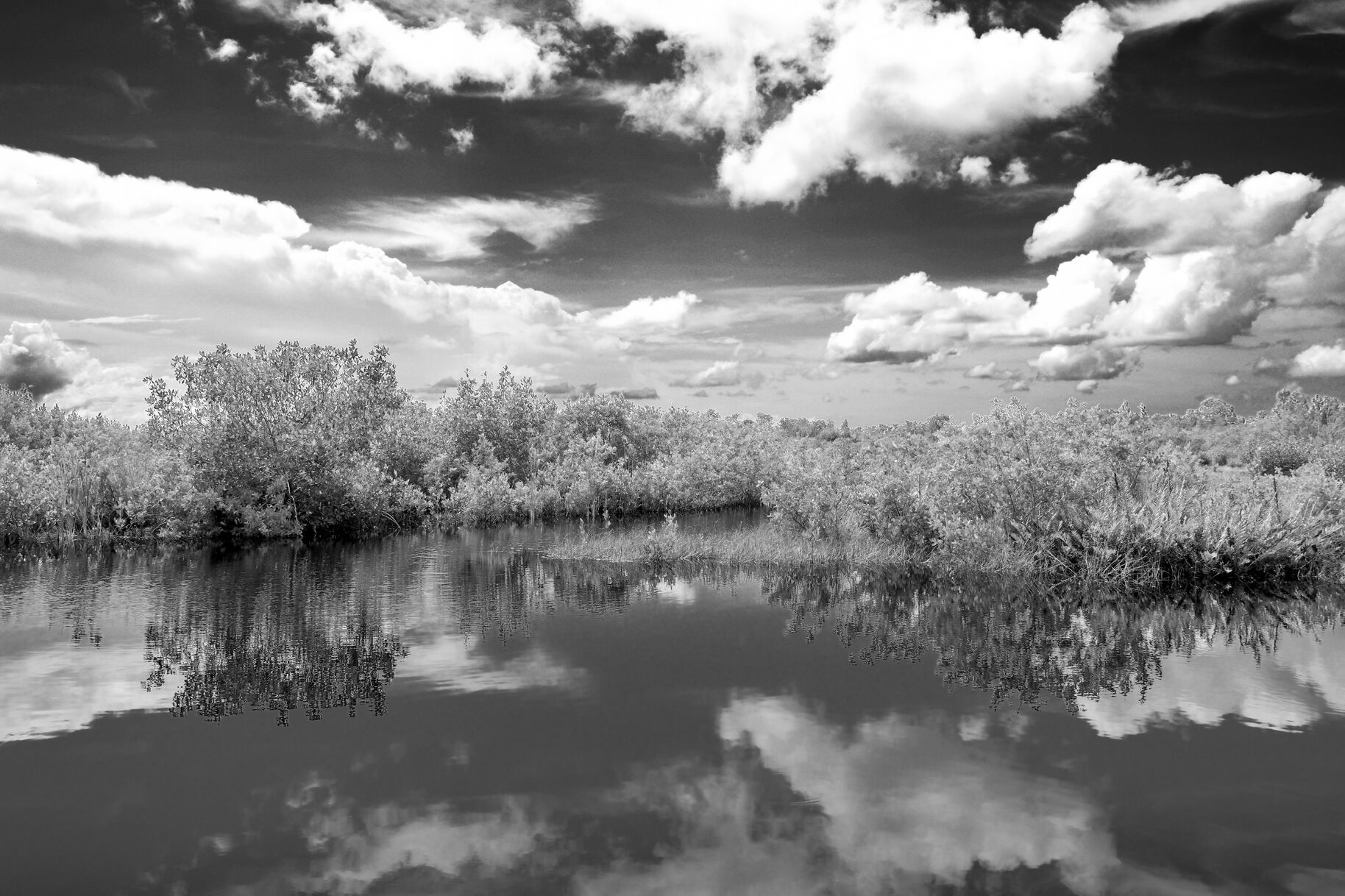 Mark Lee Webb, The Everglades, FL.