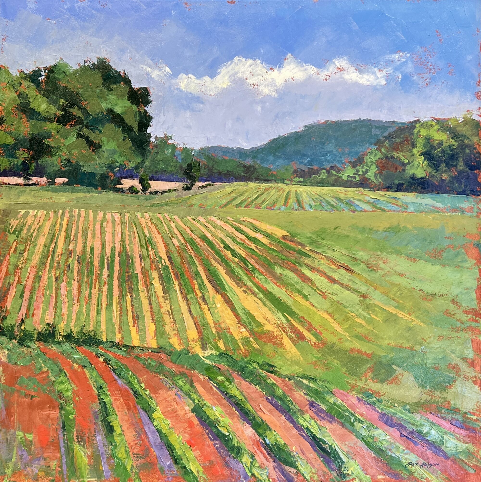 Pam Folsom Willey Road