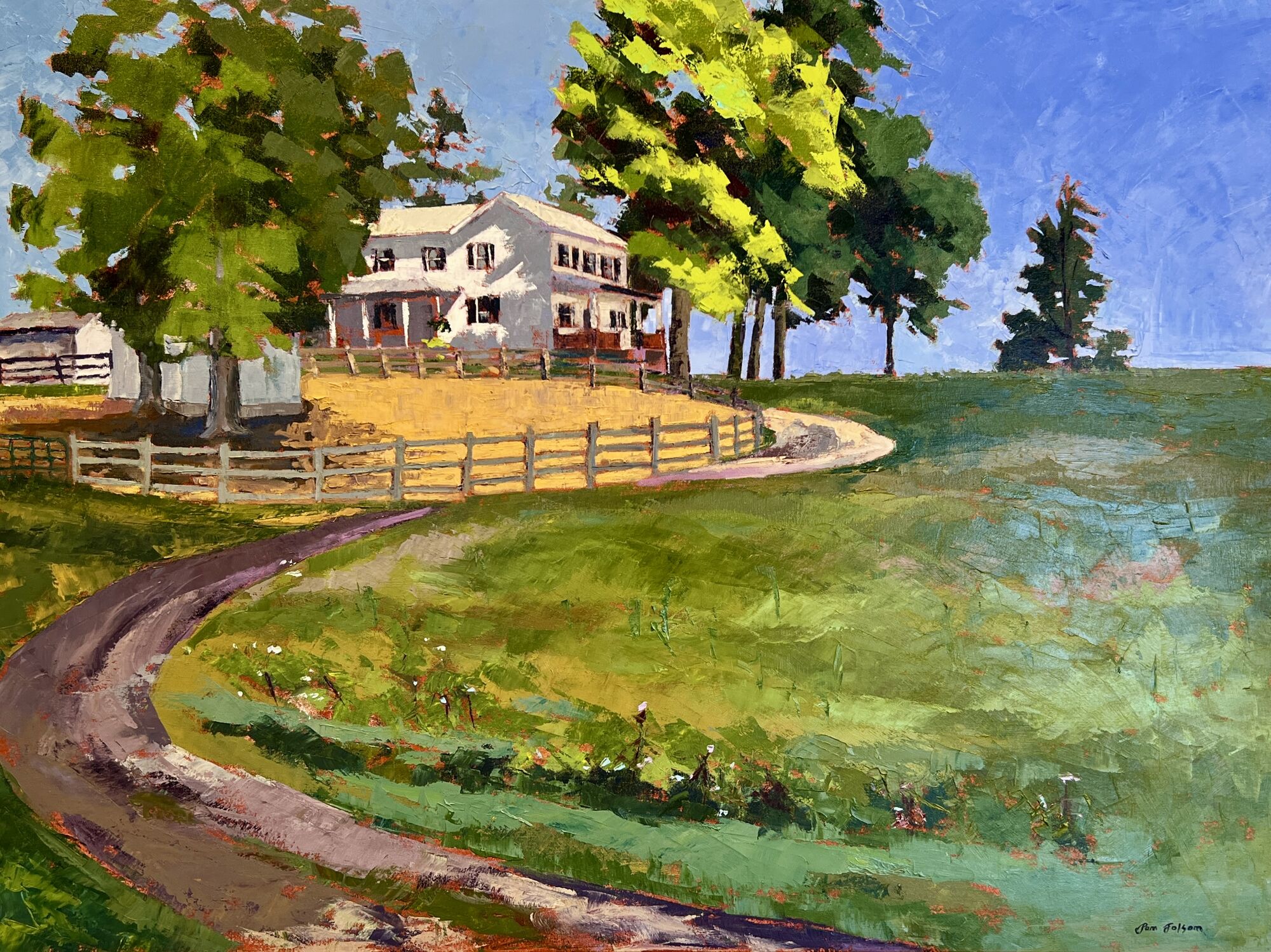 Pam Folsom High on a Hill